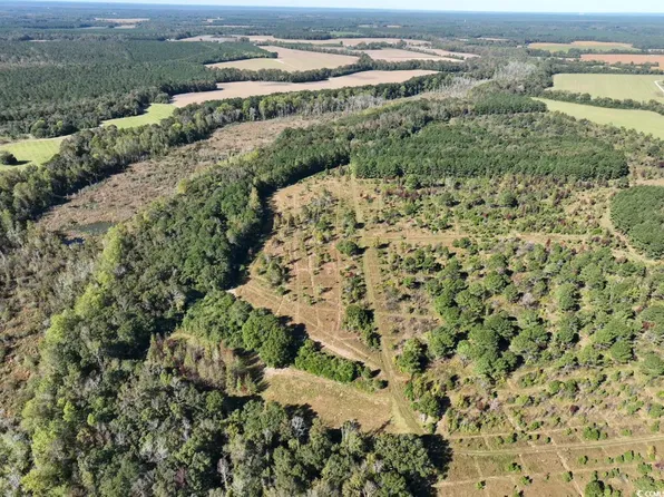  Law Rd #Calvary Church Road, Pinewood, SC 29125