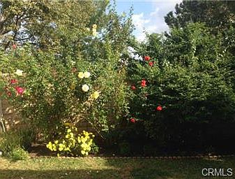 4th image of 1031 S Palmetto T 4 Ave #T-4