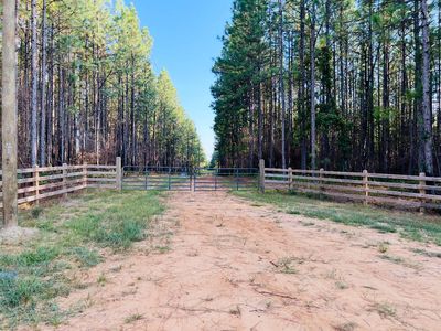 3305 Purvis To Columbia Rd, Lumberton, MS, 39455