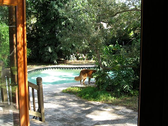 French Doors toward Pool