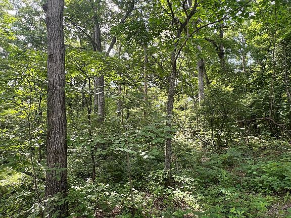 4th image of County Rd