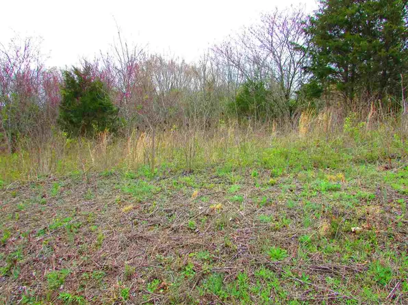 Sequoyah St, Mosheim, TN 37818