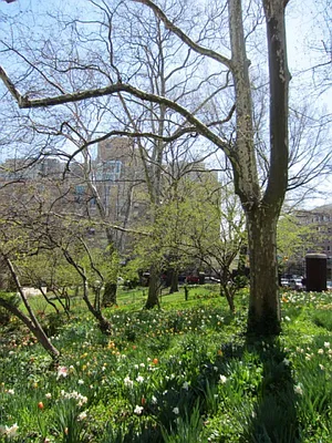 Rented by Bohemia Realty Group | media 16