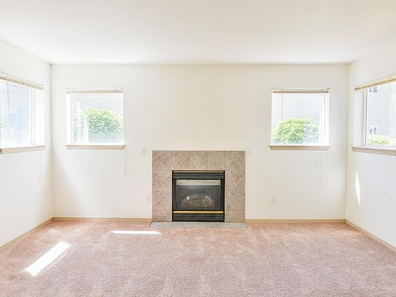 Gas Fire Place