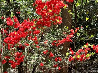 299 Glenn Bridge Rd, Arden, NC 28704