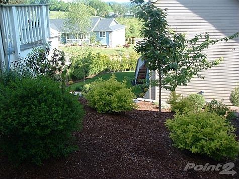 Side yard