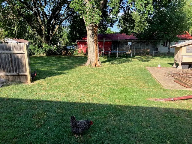 Chickens and trampoline sadly not included.