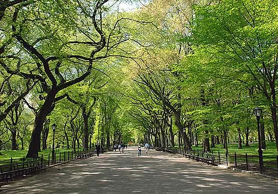 Rented by Goldfarb Properties | media 2