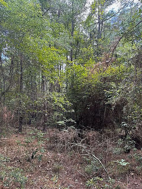 2nd image of LOT9 Alazan Vista Sd CR #751