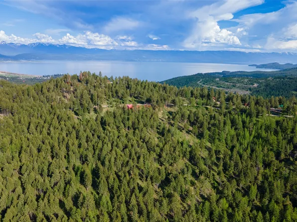 460 Buffalo Trl, Somers, MT 59932