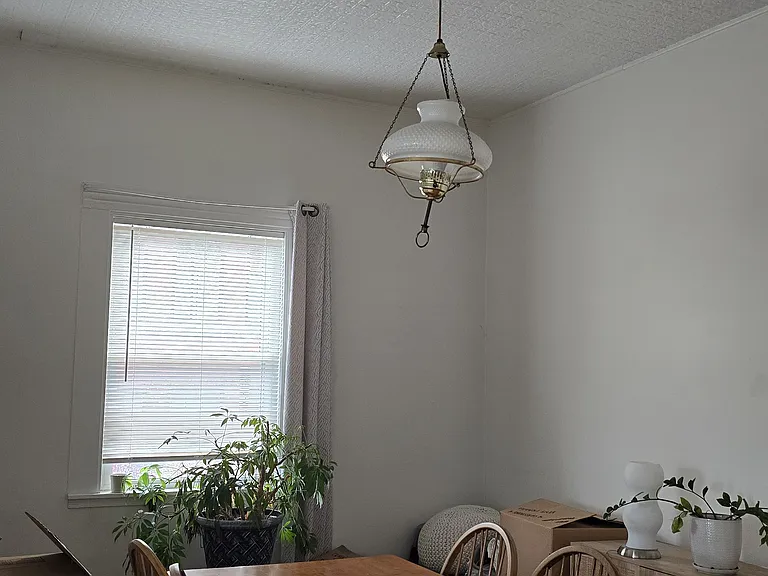 331 Plantation St #1 — Photo 4
