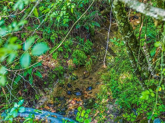 5th image of 0 Mills Rd