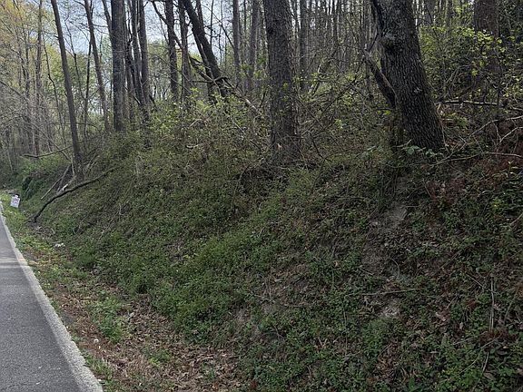 4th image of 11044 Loop Rd