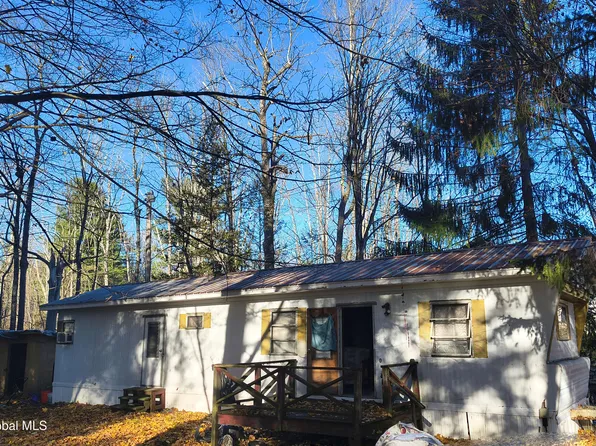 121 Bushnell Road, Mayfield, NY 12117