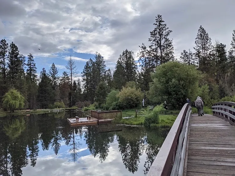 62719 Mehama Dr — Photo 40