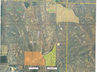 0 W Coyote Hill Dr, Central Lake, MI 49622