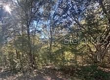 1st image of 10014 N ATHENIA DRIVE