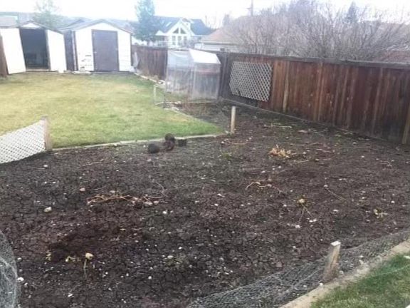 5th image of 409 E 1st St SW