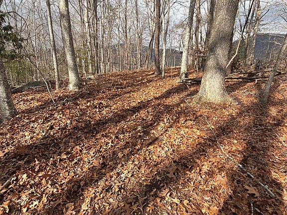 2nd image of 0 Worley Cove Rd