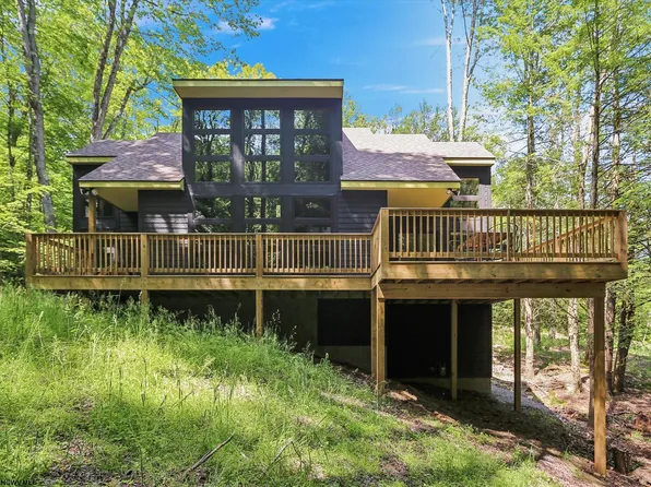 701 Black Bear Trl, Davis, WV 26260