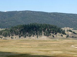 11581 Black Kettle Rd, Hartsel, CO 80449