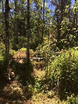 1st image of Puna St Lot 584