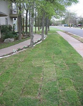 Lawn
