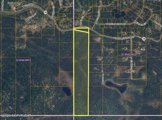 13516 W Willow Fishhook Rd, Willow, AK 99688