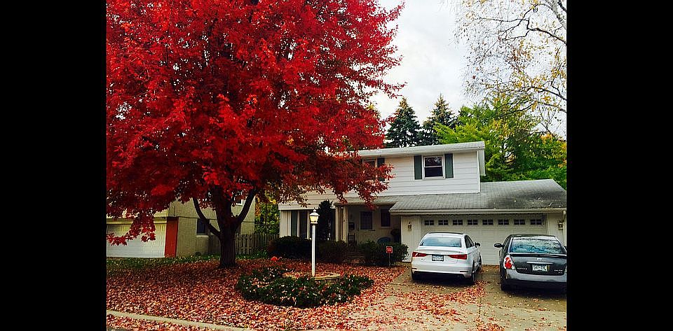 1st image of 39 Amelia Ave
