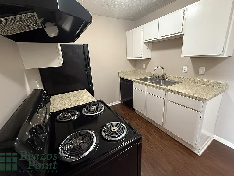 Brazos Point Apartments — Photo 11