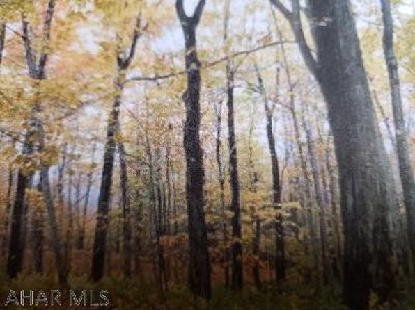 193L Ridge Run Rd, Claysburg, PA 16625