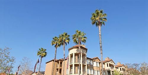 1st image of 710 Camino De La Reina APT 323