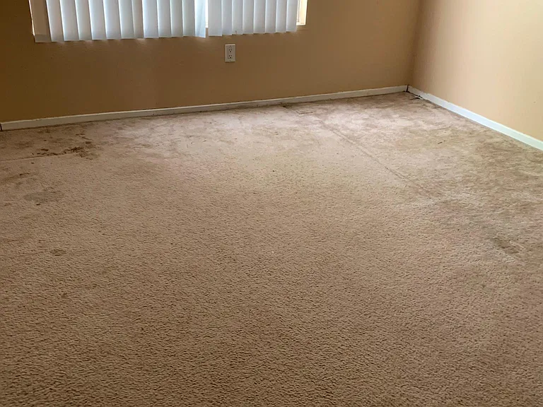 5590 Ptolemy Way — Photo 4
