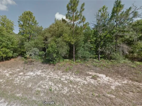 3339 W Early Pl, Citrus Springs, FL 34433