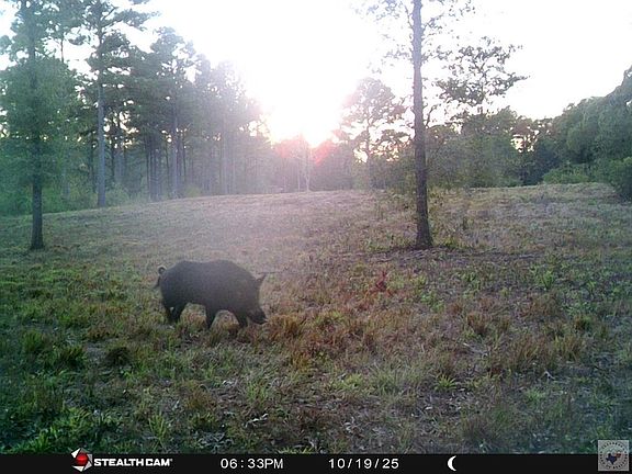 3rd image of 4847 Fm 992