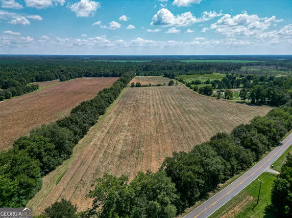 639 Rw Jones Rd, Leslie, GA 31764