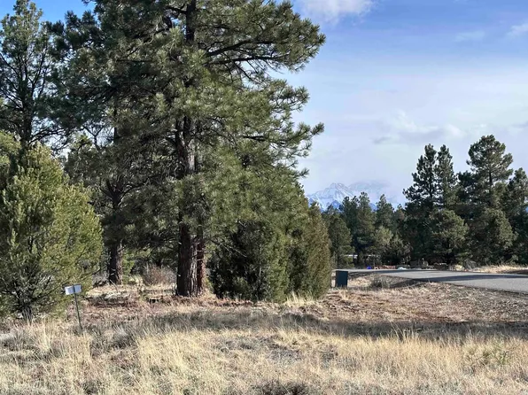 1960 Marmot Dr #563, Ridgway, CO 81432