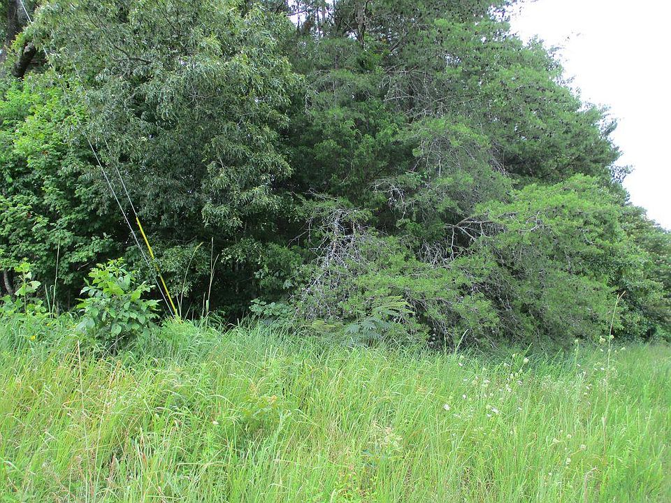 2nd image of 8827 Ooltewah Cemetery Rd