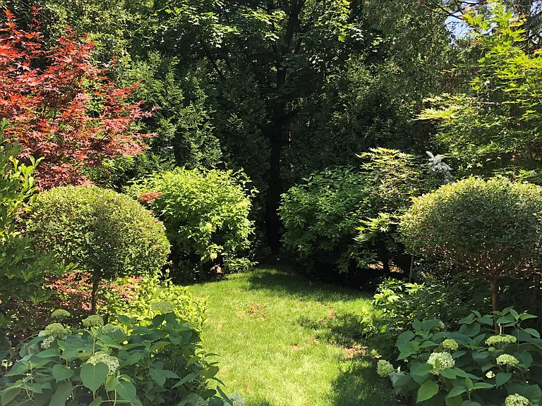 11 Admiral Rd — Photo 42