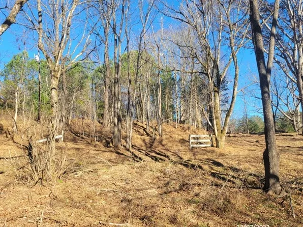 1577 Green Cove Rd, Brasstown, NC 28902