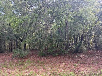8381 N Quarry Dr, Citrus Springs, FL, 34434