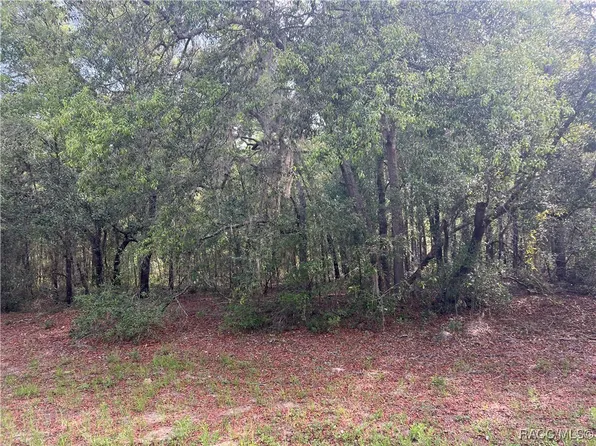 8381 N Quarry Dr, Citrus Springs, FL 34434