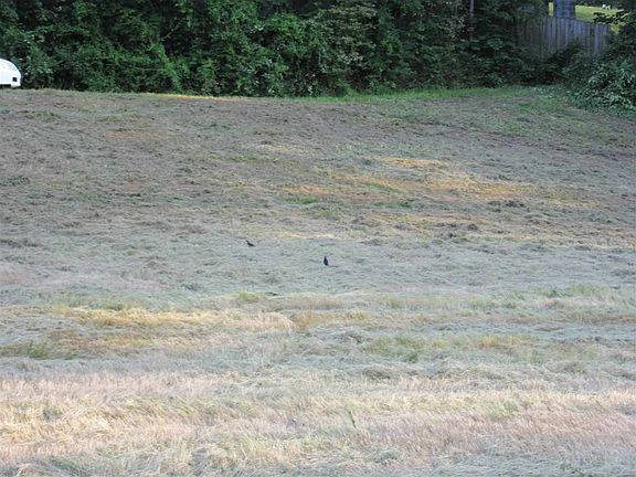 4th image of 114-116 Grigsby Point