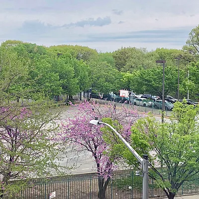 Rented by Ann Ferguson, LLC | media 21