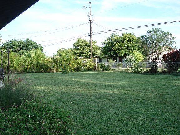 back yard