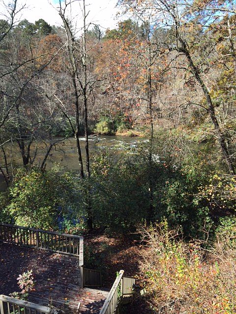 River from back deck