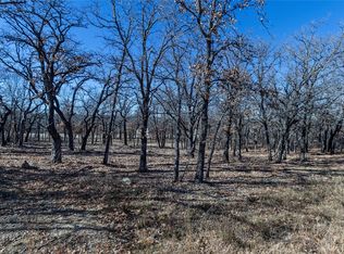 LOT 29 Ehret Ln, Bridgeport, TX 76426