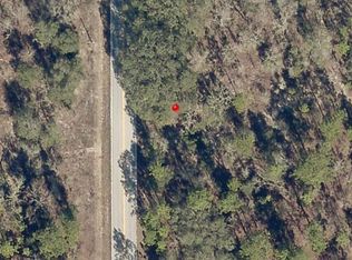 LOT 20 SW Breezy Point Dr, Dunnellon, FL 34431