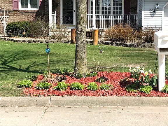 4th image of 224 Sal Ave