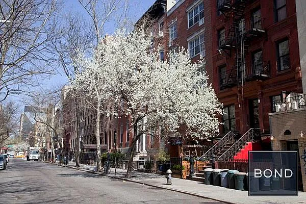 Rented by Bond New York | media 12